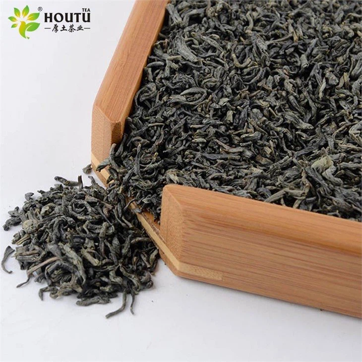 THE VERT SSS For Morocco  41022 cheap price